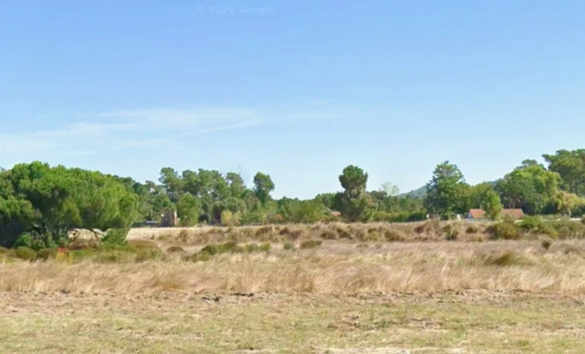Terreno para Venda em Azeitão (São Lourenço e São Simão) Foto 2