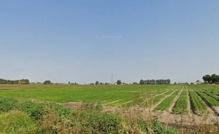 Terreno para Venda em Moita