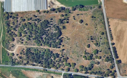 Terreno para Venda em Moita
