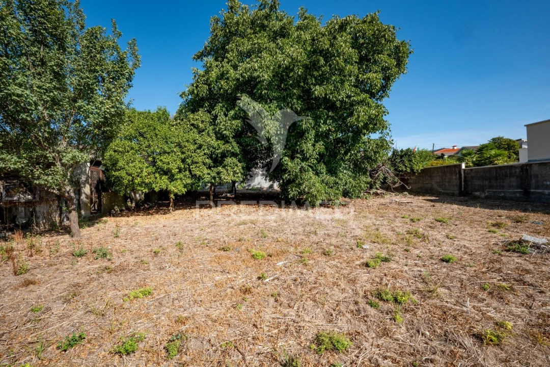 Terreno para Venda em Ferreiros, Prozelo e Besteiros Foto 5