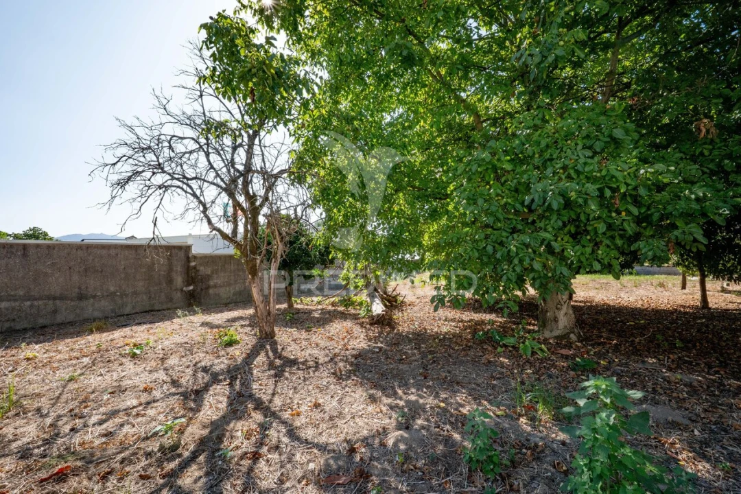 Terreno para Venda em Ferreiros, Prozelo e Besteiros Foto 1