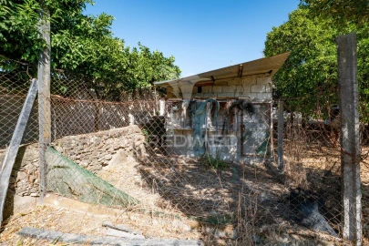 Terreno para Venda em Ferreiros, Prozelo e Besteiros