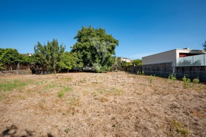 Terreno para Venda em Ferreiros, Prozelo e Besteiros