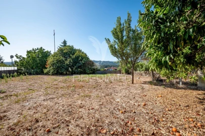Terreno para Venda em Ferreiros, Prozelo e Besteiros