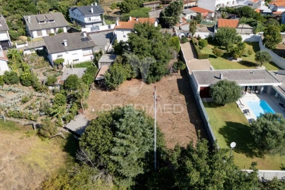 Terreno para Venda em Ferreiros, Prozelo e Besteiros