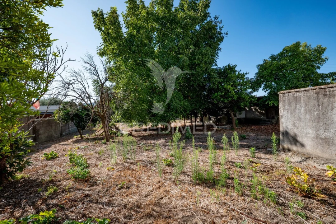 Terreno para Venda em Ferreiros, Prozelo e Besteiros Foto 17
