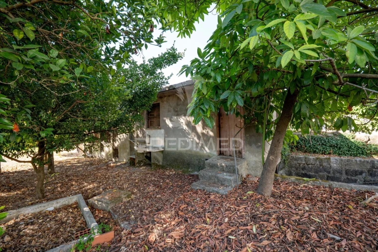 Terreno para Venda em Ferreiros, Prozelo e Besteiros Foto 9