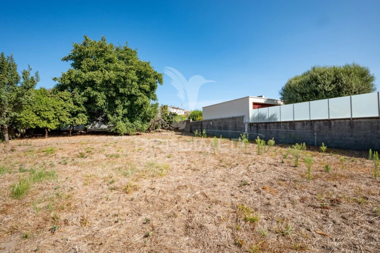 Terreno para Venda em Ferreiros, Prozelo e Besteiros Foto 3