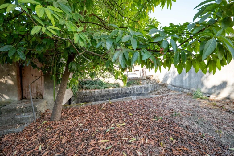Terreno para Venda em Ferreiros, Prozelo e Besteiros Foto 10
