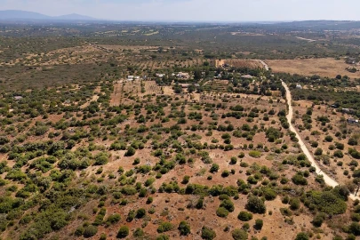 Terreno para Venda em Bensafrim e Barão de São João