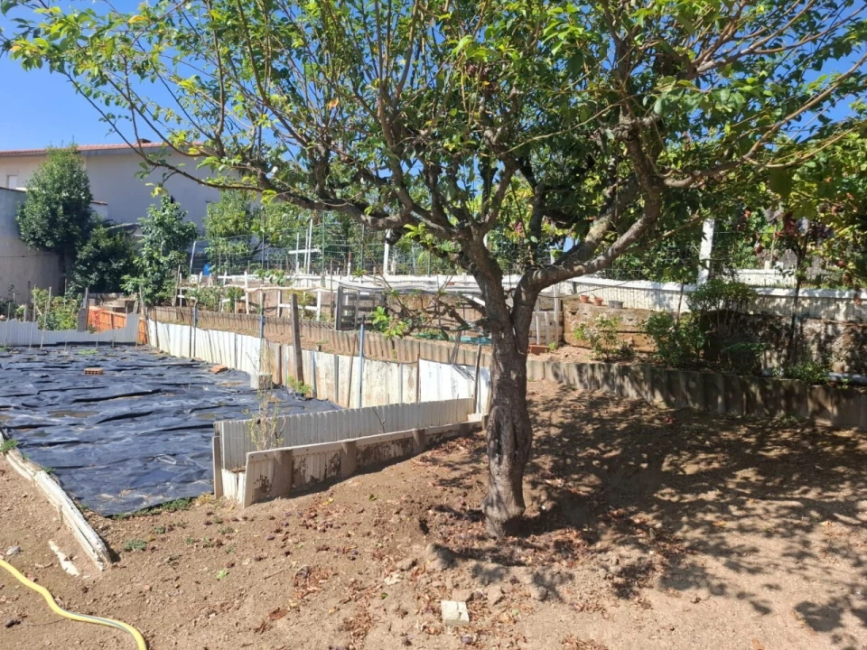 Terreno para Venda em São João da Madeira Foto 10