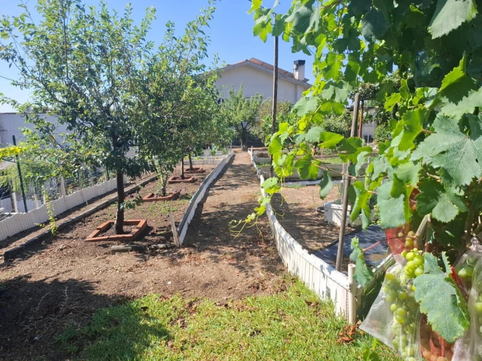 Terreno para Venda em São João da Madeira Foto 23