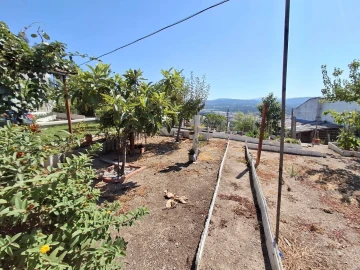 Terreno para Venda em São João da Madeira