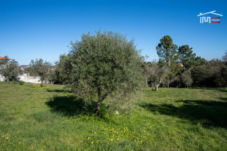 Terreno para Venda em Atouguia Foto 18