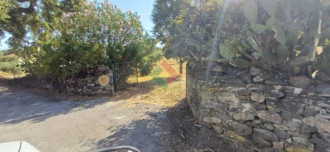 Terreno Agricola ou Rústico para Venda em Beirã Foto 6