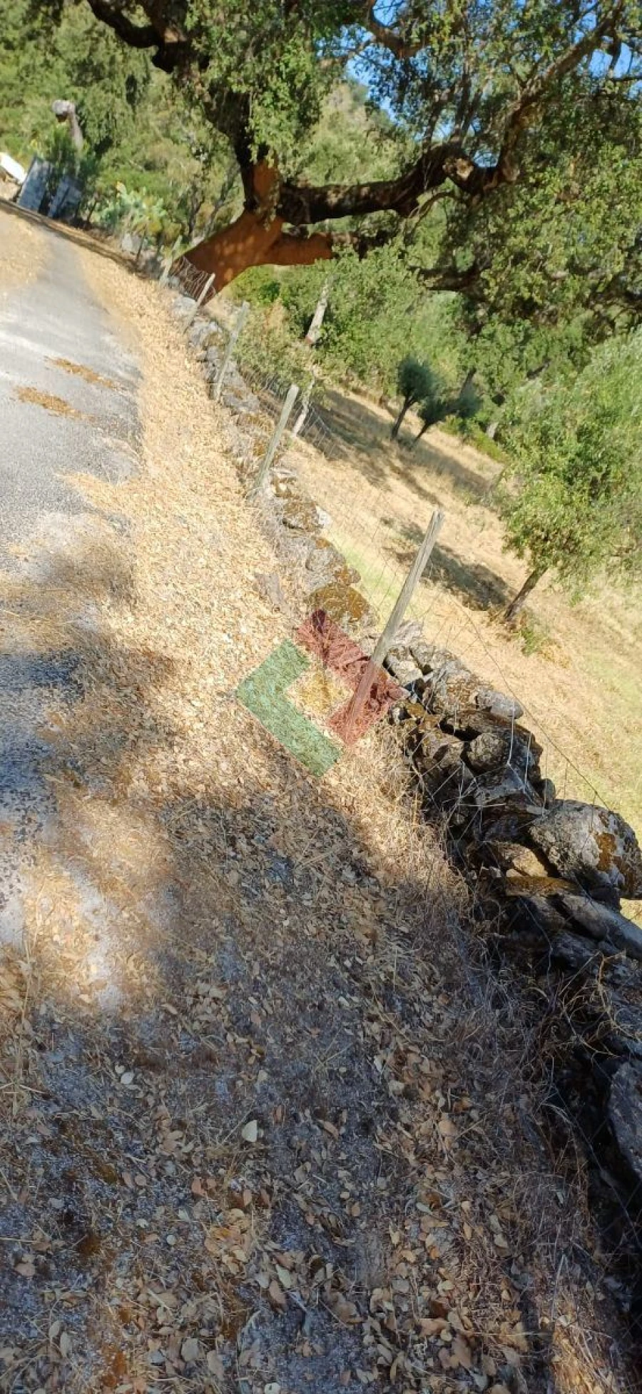 Terreno Agricola ou Rústico para Venda em Beirã Foto 7