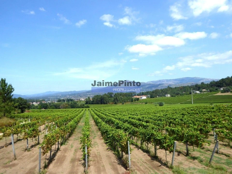 Moradia T3 para Venda em Valença, Cristelo Covo e Arão Foto 5