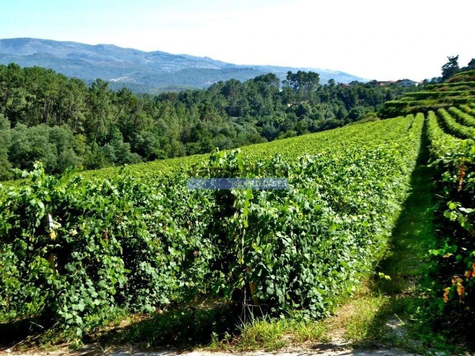 Moradia T3 para Venda em Valença, Cristelo Covo e Arão Foto 8