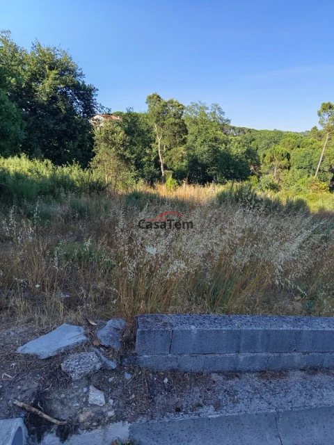 Terreno para Venda em Silgueiros