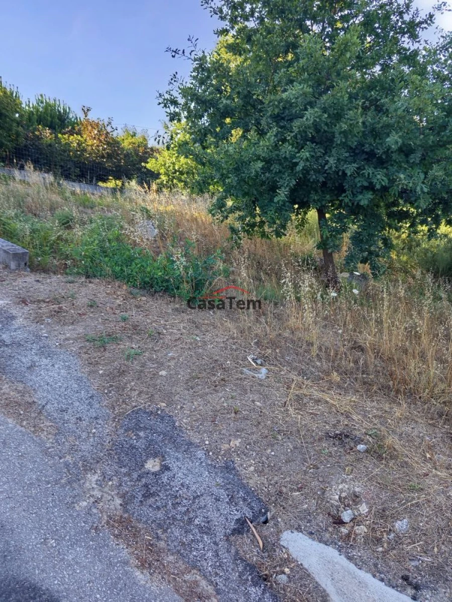 Terreno para Venda em Silgueiros Foto 2