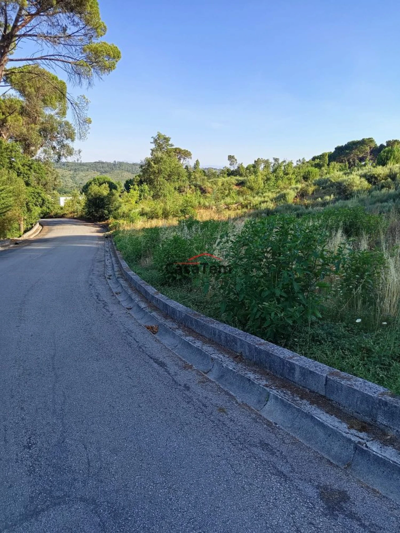 Terreno para Venda em Silgueiros Foto 6