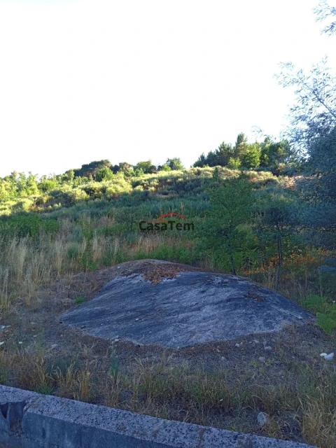 Terreno para Venda em Silgueiros