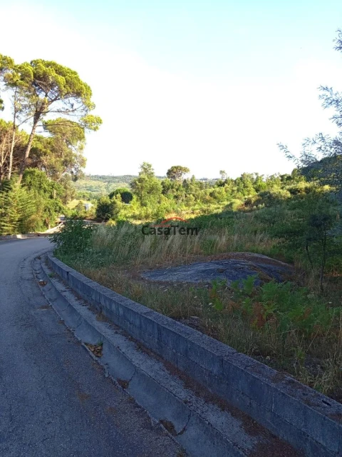 Terreno para Venda em Silgueiros