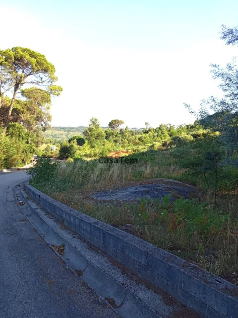 Terreno para Venda em Silgueiros