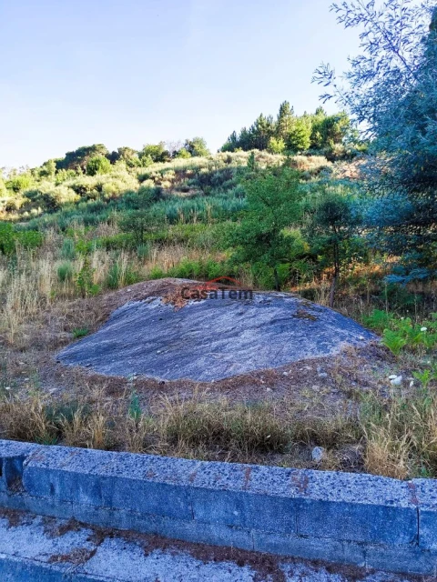 Terreno para Venda em Silgueiros