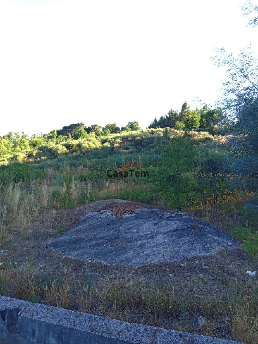 Terreno para Venda em Silgueiros Foto 2