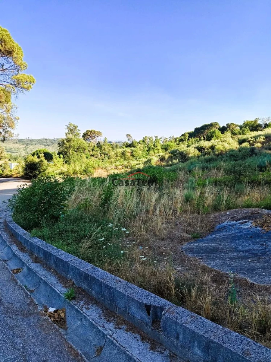 Terreno para Venda em Silgueiros Foto 3
