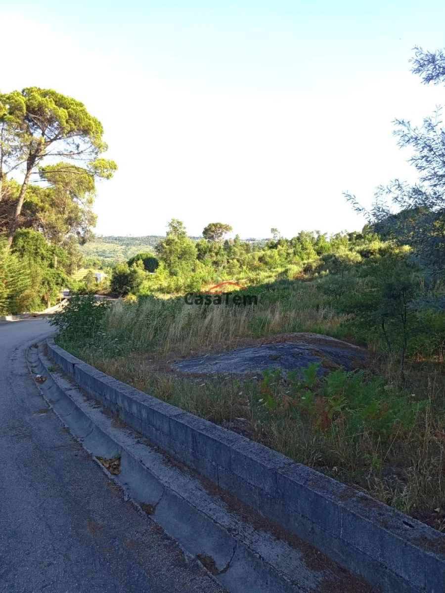 Terreno para Venda em Silgueiros Foto 5