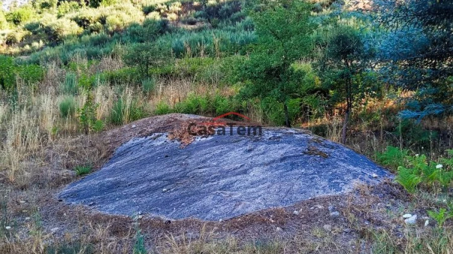 Terreno para Venda em Silgueiros