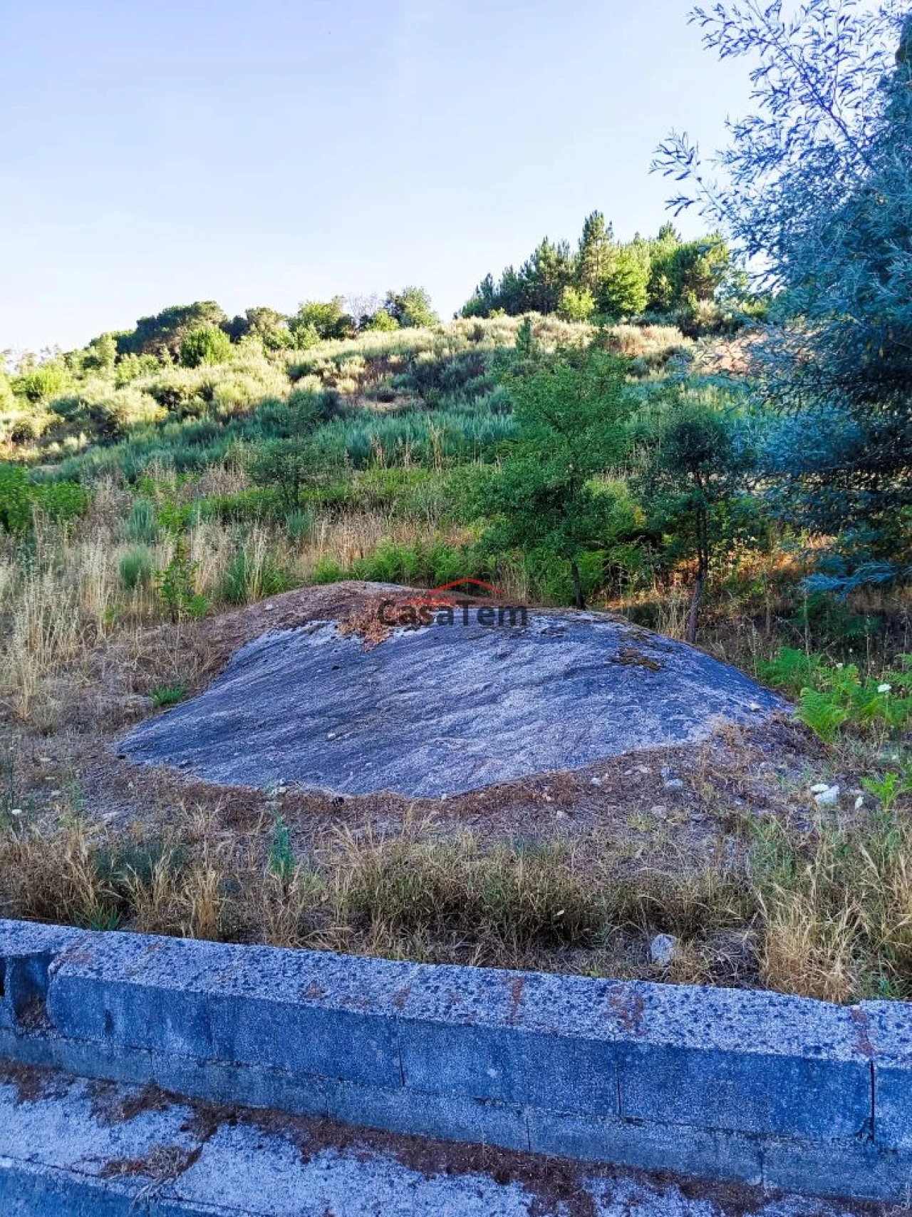 Terreno para Venda em Silgueiros Foto 1