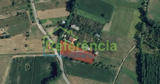 Terreno para Venda em Madalena e Samaiões