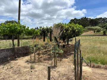 Moradia T6 para Venda em Aveiras de Cima