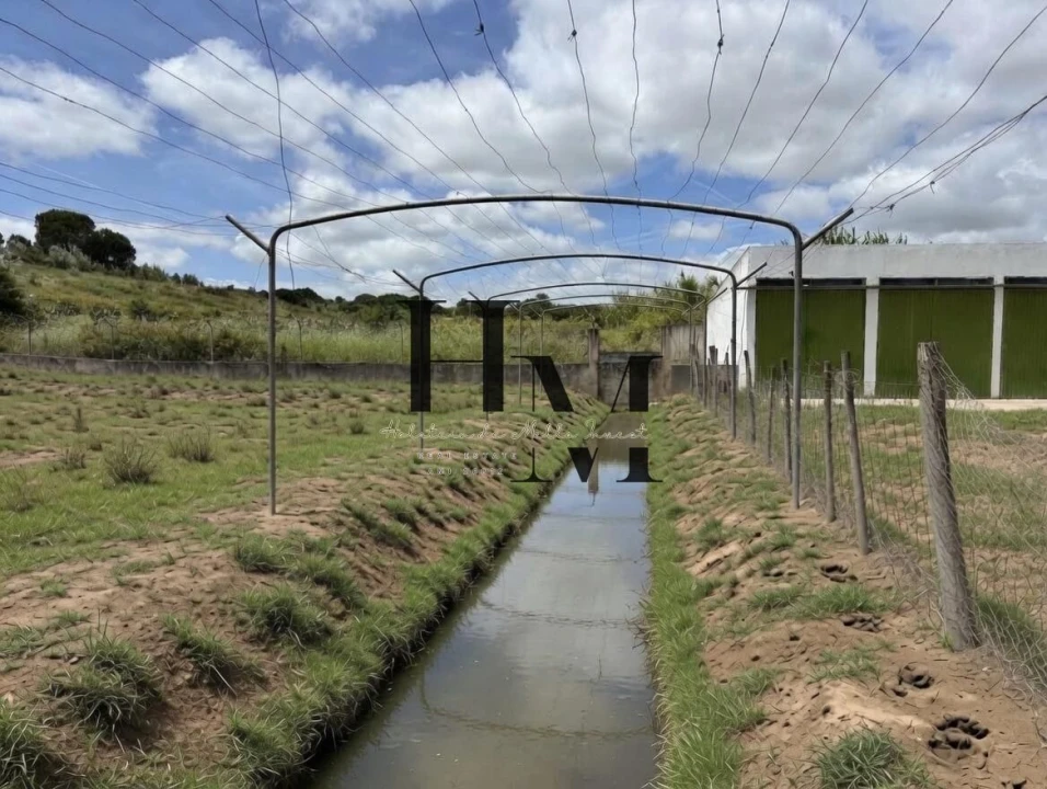 Moradia T6 para Venda em Aveiras de Cima Foto 43