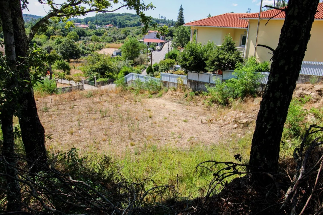 Terreno para Venda em Orgens Foto 9