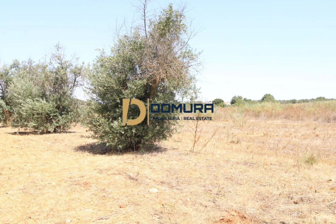 Terreno para Venda em Terrugem e Vila Boim Foto 10