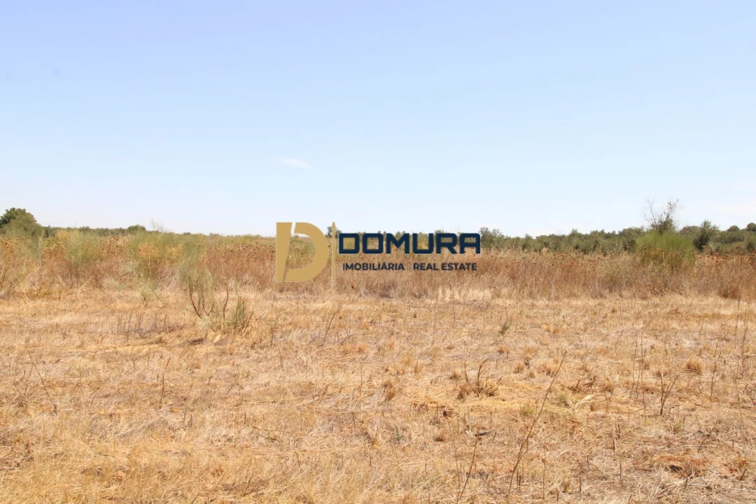 Terreno para Venda em Terrugem e Vila Boim Foto 9