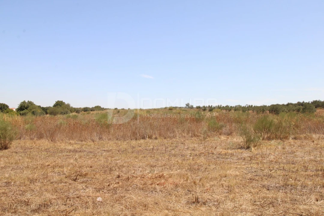 Terreno para Venda em Terrugem e Vila Boim Foto 6