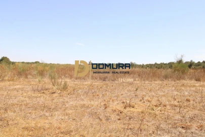 Terreno para Venda em Terrugem e Vila Boim
