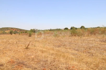 Terreno para Venda em Terrugem e Vila Boim