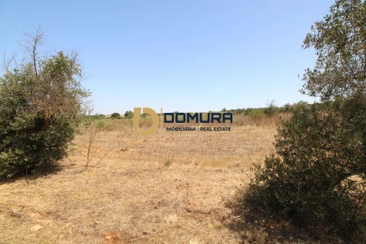 Terreno para Venda em Terrugem e Vila Boim