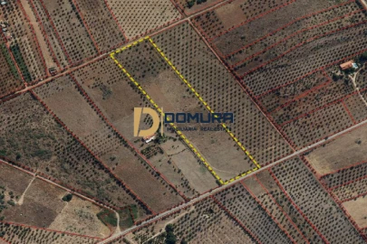 Terreno para Venda em Terrugem e Vila Boim