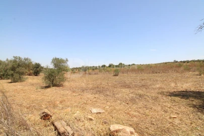 Terreno para Venda em Terrugem e Vila Boim