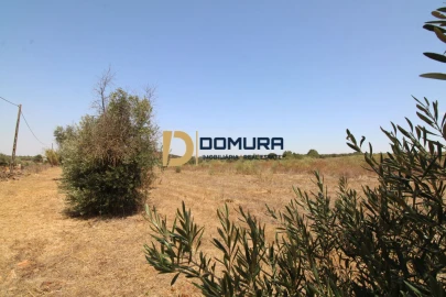 Terreno para Venda em Terrugem e Vila Boim