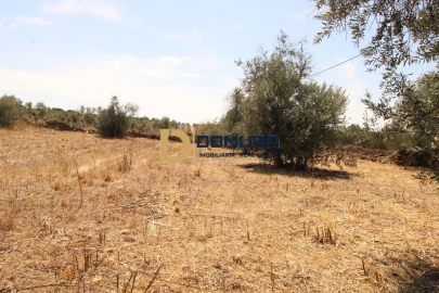 Terreno para Venda em Terrugem e Vila Boim