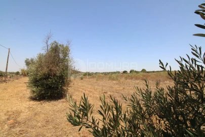 Terreno para Venda em Terrugem e Vila Boim