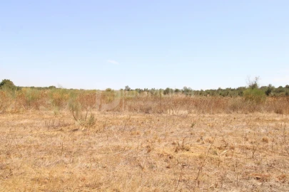 Terreno para Venda em Terrugem e Vila Boim